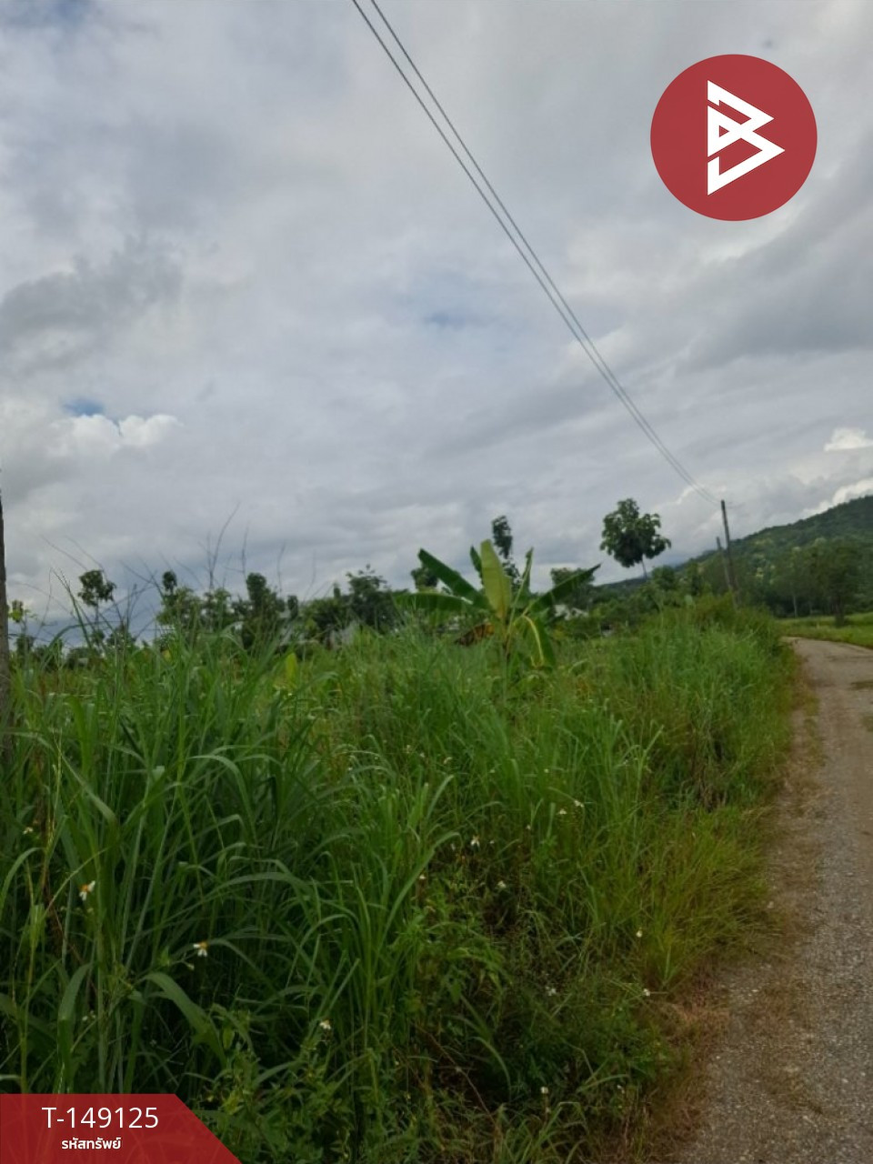 ขายที่ดิน 2 แปลงติดกัน เนื้อที่เริ่มต้น 2 ไร่ 95 ตร.วา เทิง เชียงราย