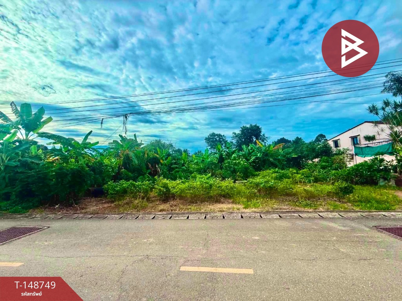 ขายที่ดิน เนื้อที่ 1 งาน 55.9 ตร.วา โคกหล่อ ตรัง