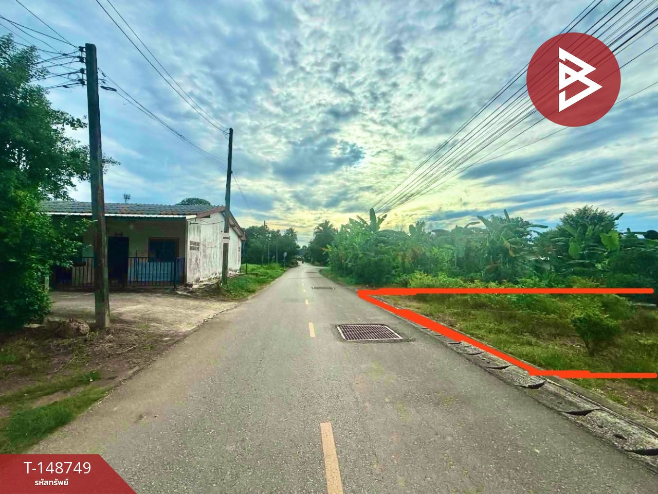 ขายที่ดิน เนื้อที่ 1 งาน 55.9 ตร.วา โคกหล่อ ตรัง