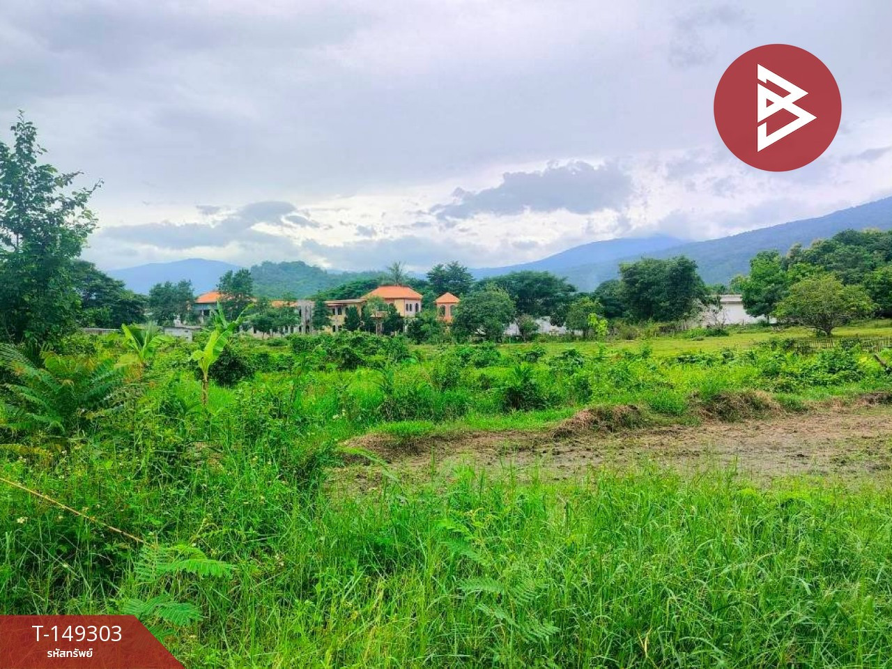 ขายที่ดินแปลงใหญ่ เนื้อที่ 11 ไร่ 2 งาน 76 ตร.วา ทำเลบ้านหลวง จอมทอง เชียงใหม่ ใกล้ดอยอินทนนท์
