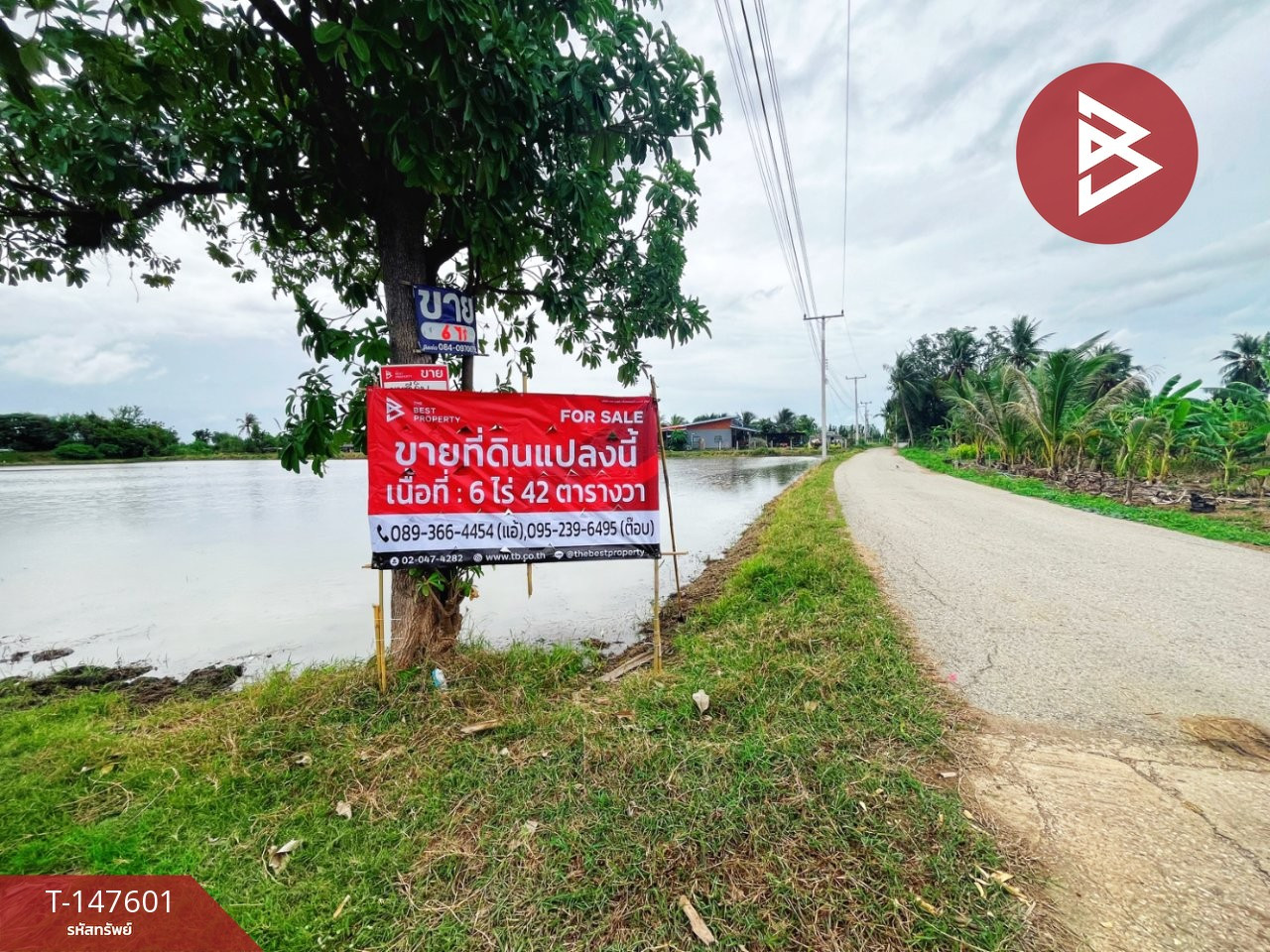 ขายที่ดิน เนื้อที่ 6 ไร่ 42 ตร.วา ท่ามะกา กาญจนบุรี