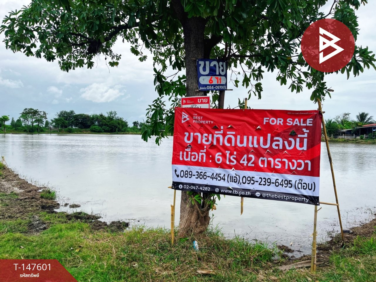 ขายที่ดิน เนื้อที่ 6 ไร่ 42 ตร.วา ท่ามะกา กาญจนบุรี