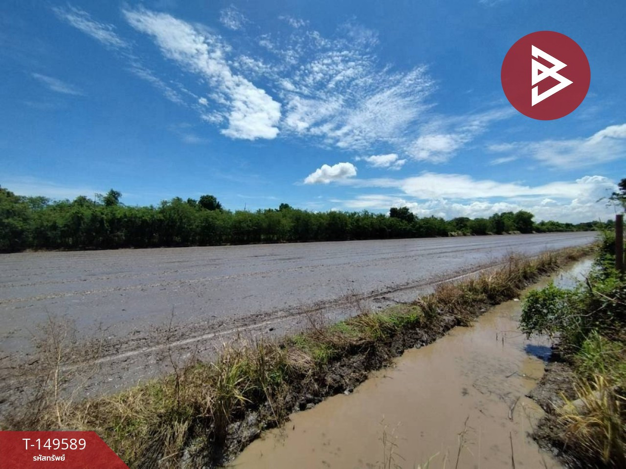 ขายที่ดิน เนื้อที่ 1 ไร่ หนองเสือ คลองสิบ ปทุมธานี
