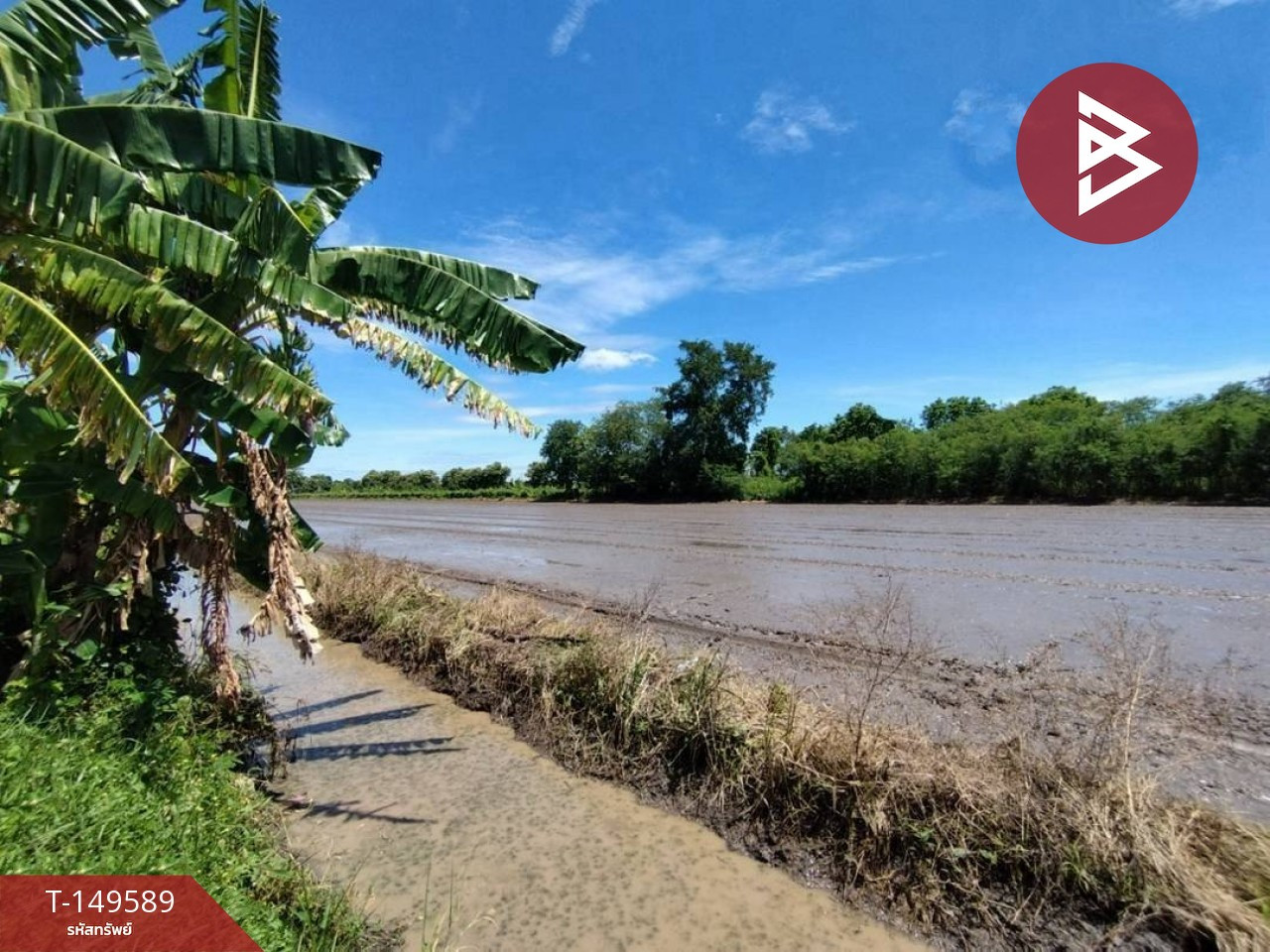 ขายที่ดิน เนื้อที่ 1 ไร่ หนองเสือ คลองสิบ ปทุมธานี