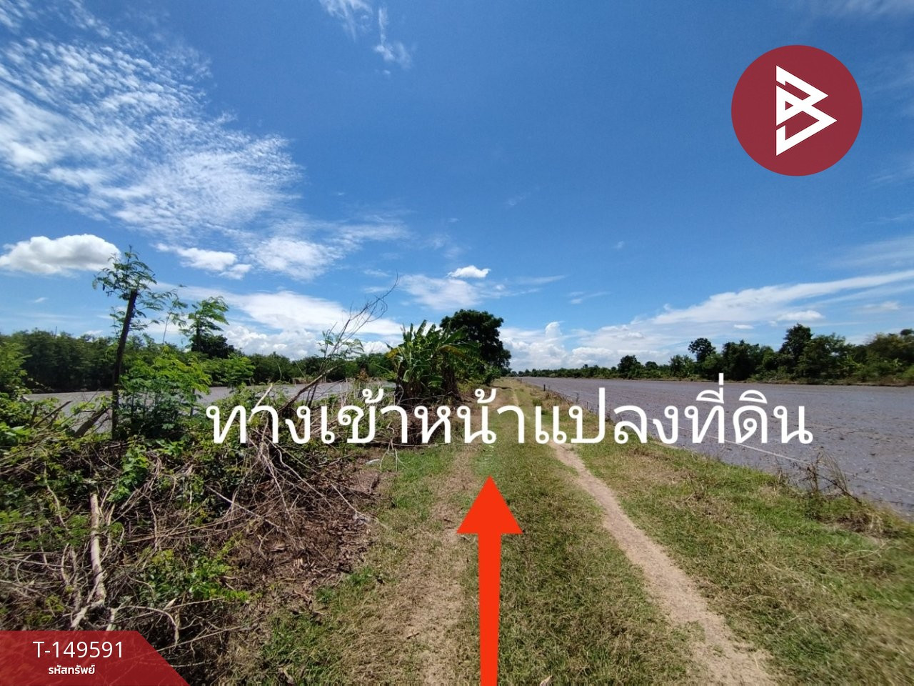 ขายที่ดิน เนื้อที่ 1 ไร่ คลอง 10 หนองเสือ ปทุมธานี