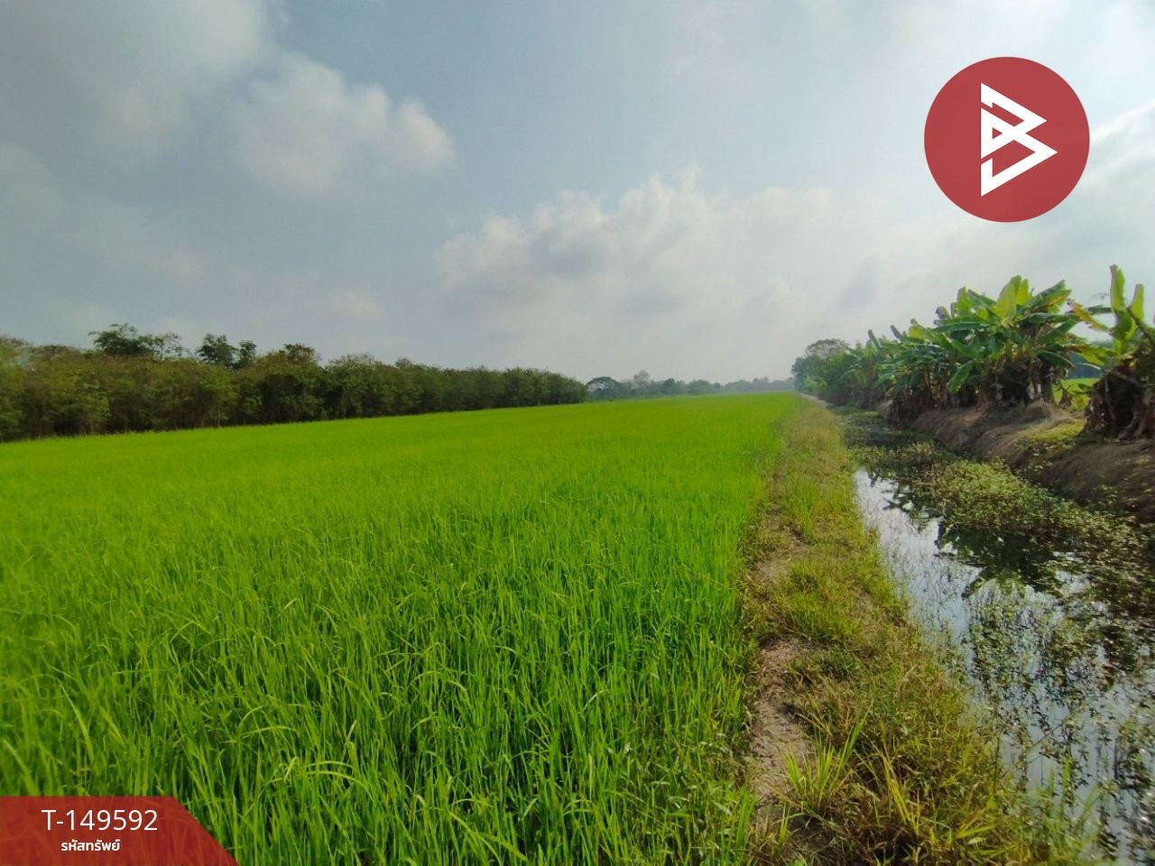 ขายที่ดิน เนื้อที่ 1 ไร่ หนองเสือ ปทุมธานี