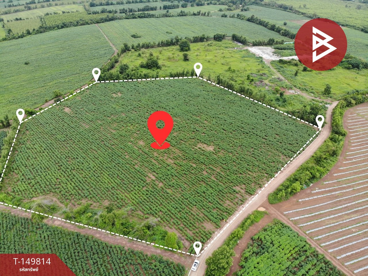 ขายที่ดิน เนื้อที่ 19 ไร่ 3 งาน 57 ตร.วา ศรีมหาโพธิ ปราจีนบุรี
