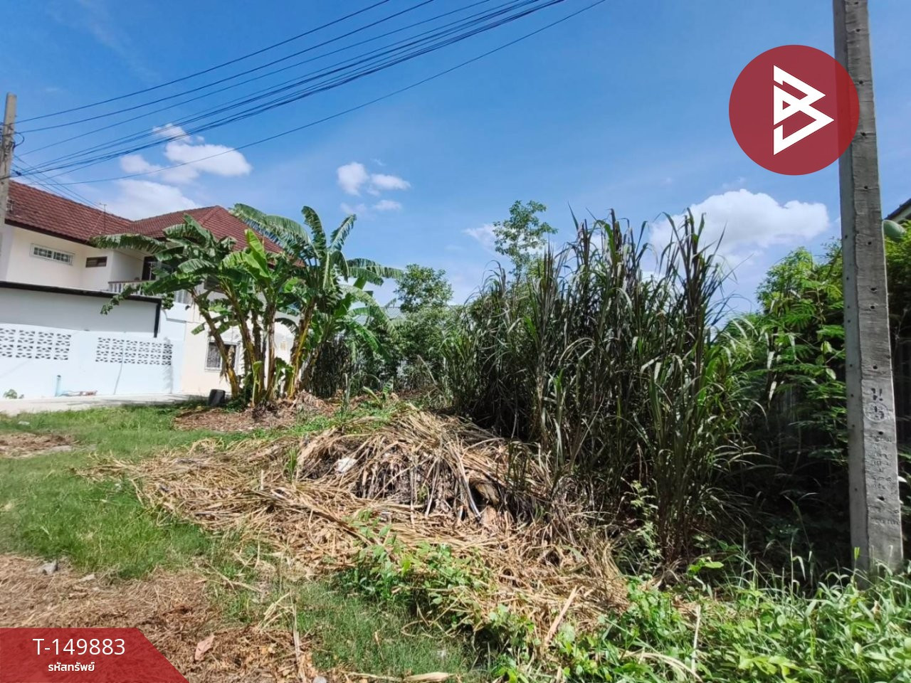 ขายที่ดิน เนื้อที่ 102.5 ตร.วา ปากเกร็ด นนทบุรี