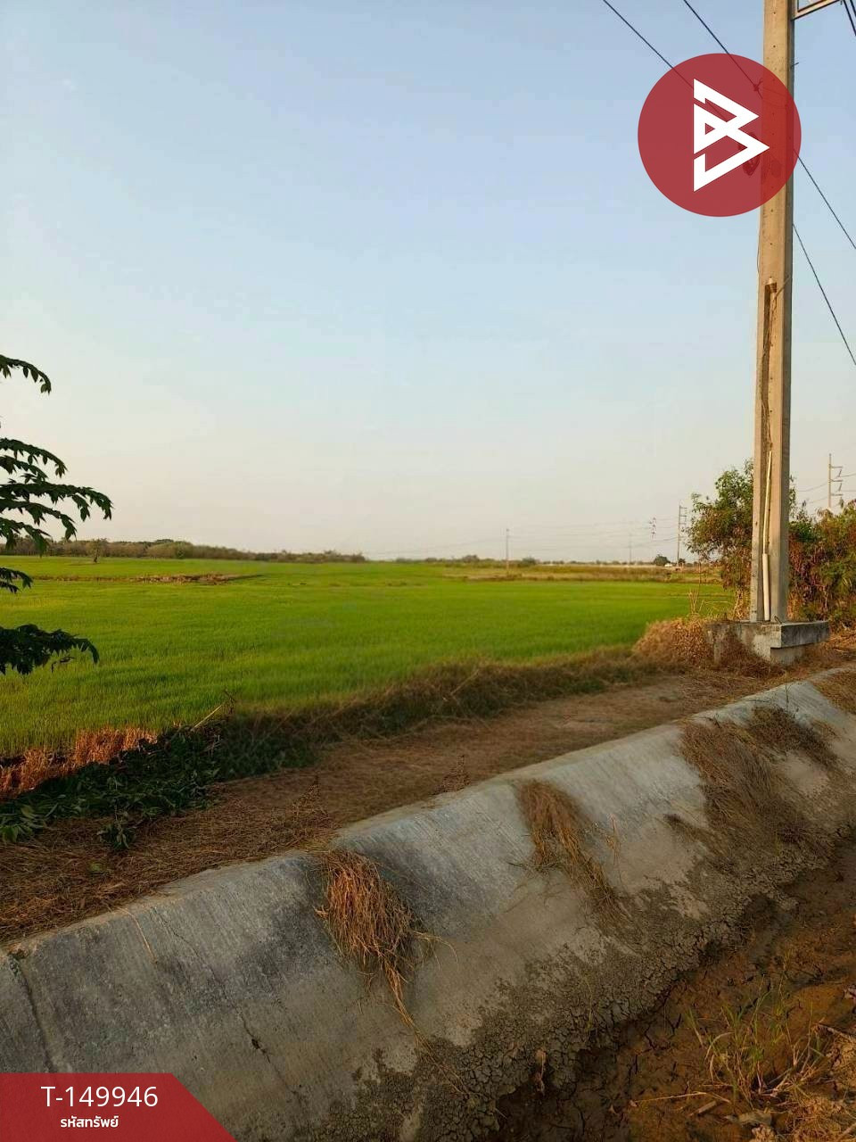 ขายที่ดิน เนื้อที่ 12 ไร่ 84 ตร.วา ท่าเรือ พระนครศรีอยุธยา