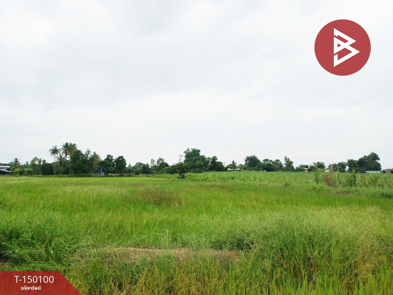 ขายที่ดิน เนื้อที่ 6 ไร่ 3 งาน 52 ตร.วา ป่ามะคาบ พิจิตร