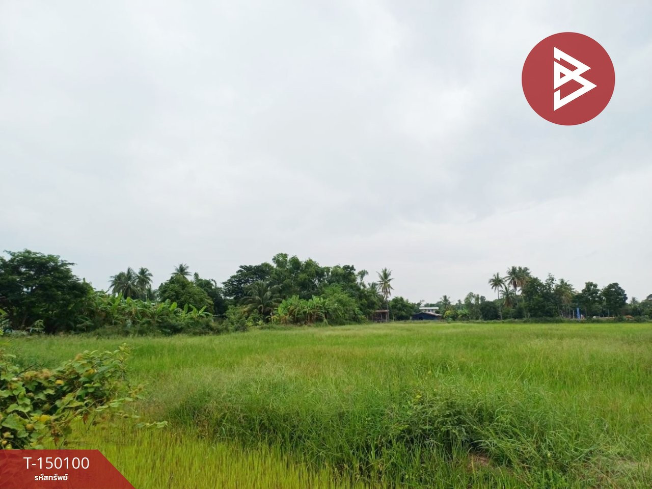 ขายที่ดิน เนื้อที่ 6 ไร่ 3 งาน 52 ตร.วา ป่ามะคาบ พิจิตร