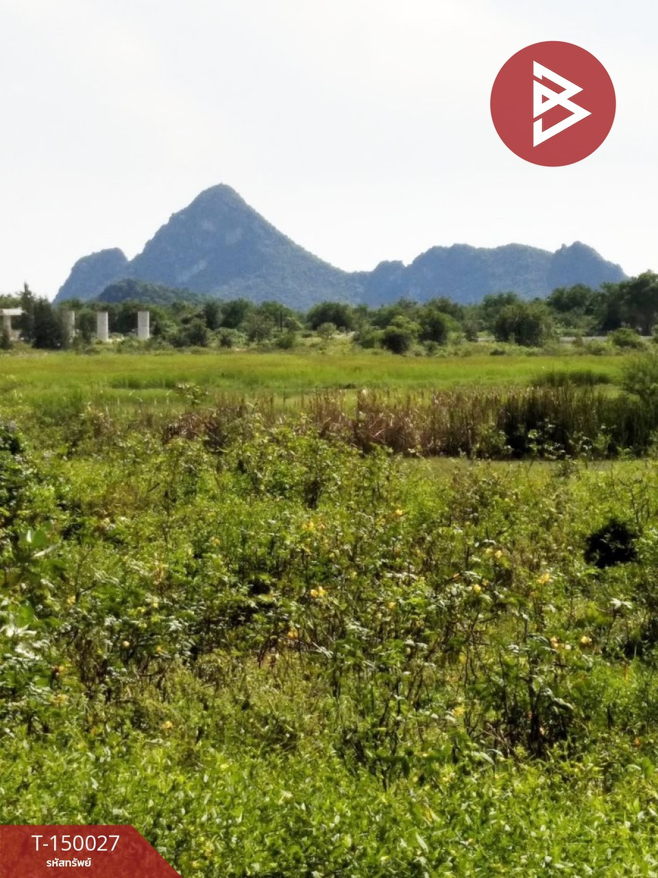 ขายที่ดิน เนื้อที่ 50.5 ตร.วา เกาะหลัก เมืองประจวบคีรีขันธ์