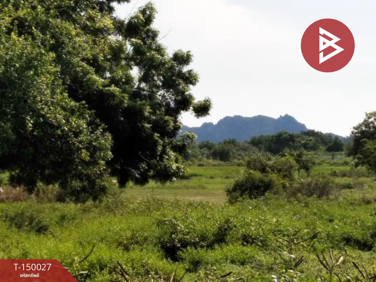 ขายที่ดิน เนื้อที่ 50.5 ตร.วา เกาะหลัก เมืองประจวบคีรีขันธ์