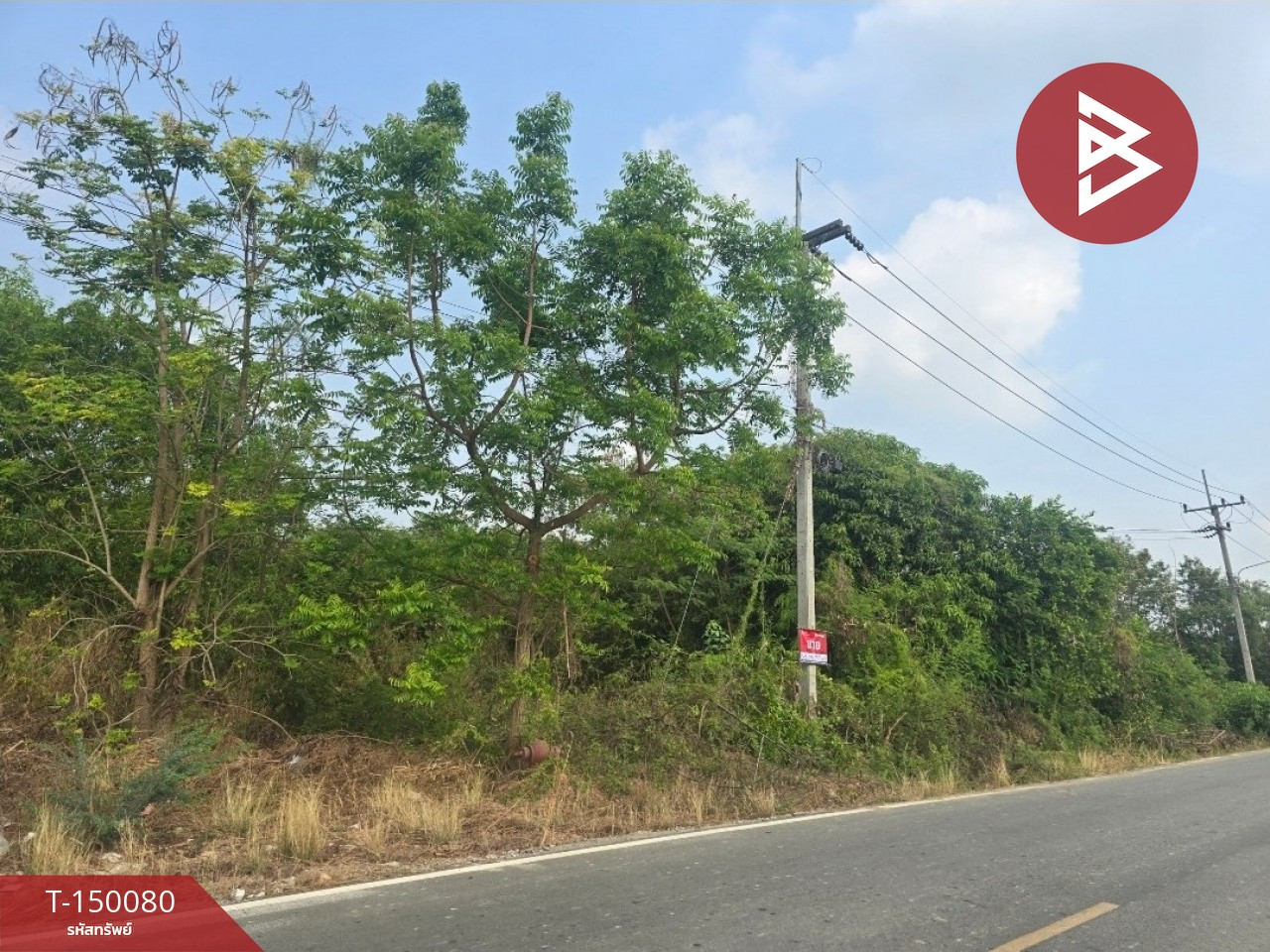 ขายที่ดิน เนื้อที่ 3 งาน 41 ตร.วา แปลงยาว ฉะเชิงเทรา