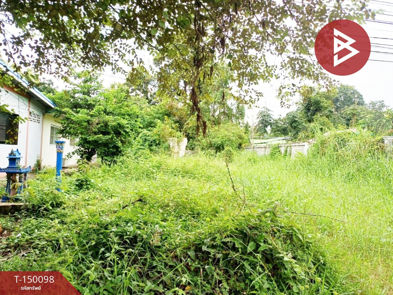 ขายที่ดิน เนื้อที่ 1 ไร่ 35 ตร.วา ป่ามะคาบ พิจิตร