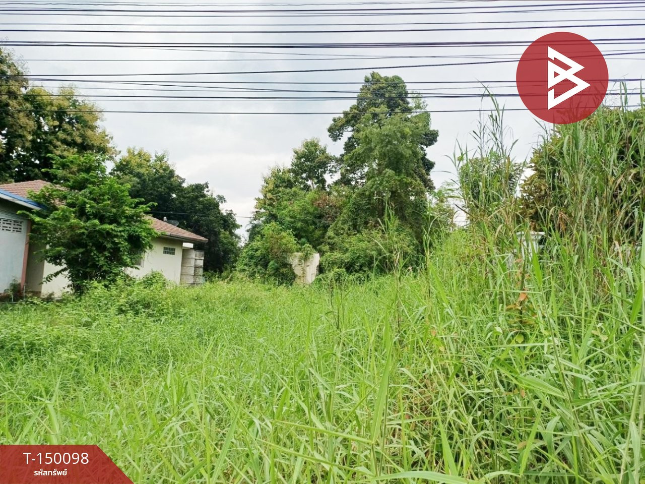 ขายที่ดิน เนื้อที่ 1 ไร่ 35 ตร.วา ป่ามะคาบ พิจิตร