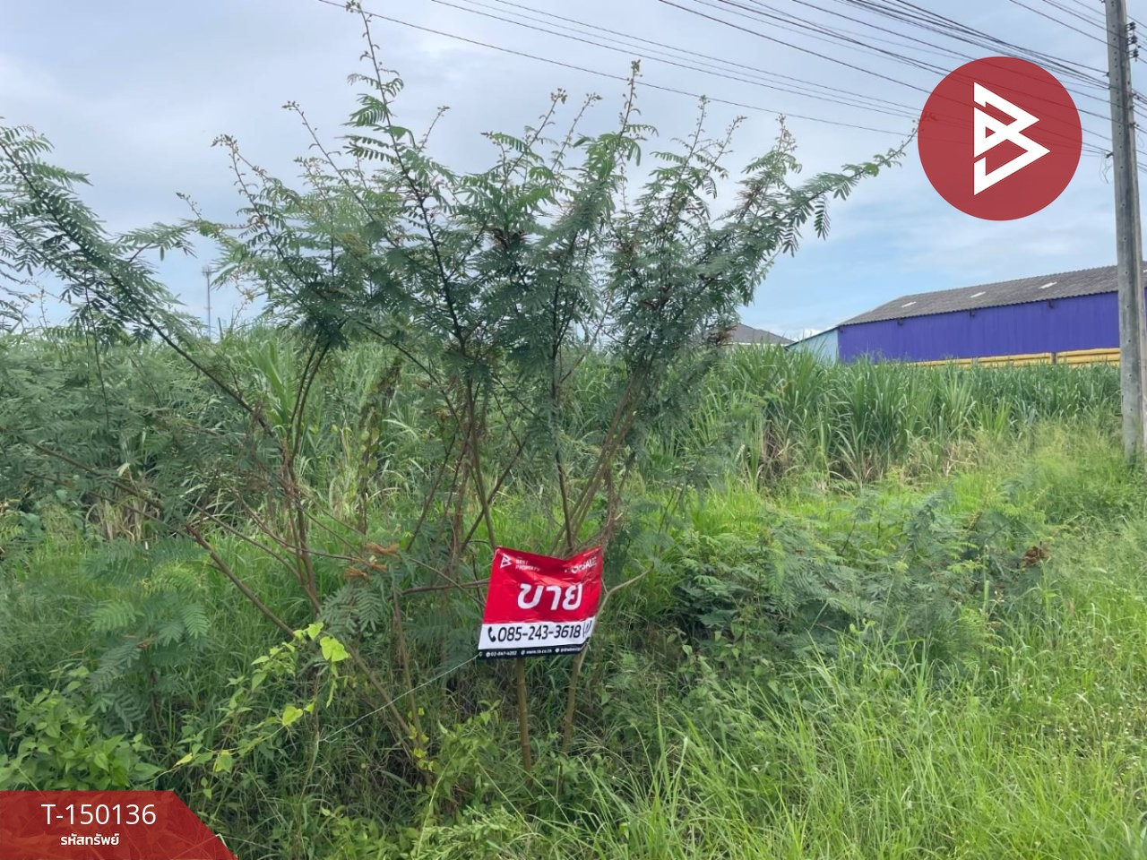 ขายที่ดิน เนื้อที่ 4 ไร่ บ้านกรวด บุรีรัมย์