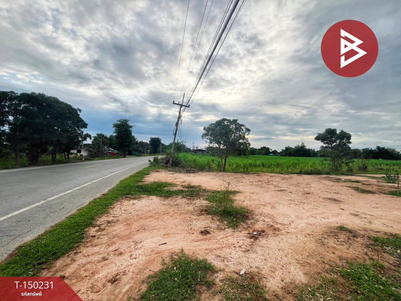 ขายที่ดิน เนื้อที่ 6 ไร่ 2 งาน 31 ตร.วา เดิมบางนางบวช สุพรรณบุรี