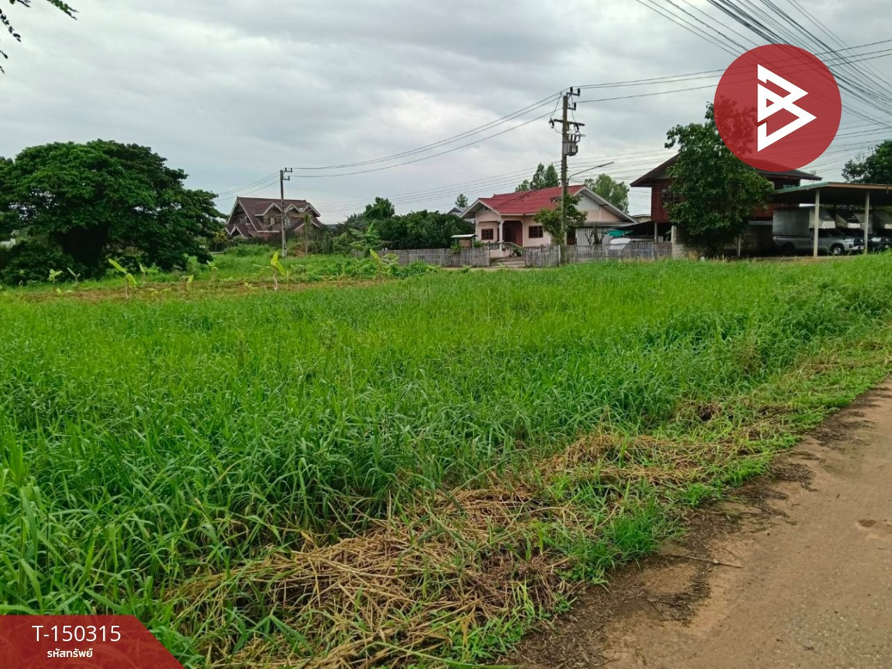 ขายที่ดิน เนื้อที่ 1 งาน 50 ตร.วา สมอแข พิษณุโลก