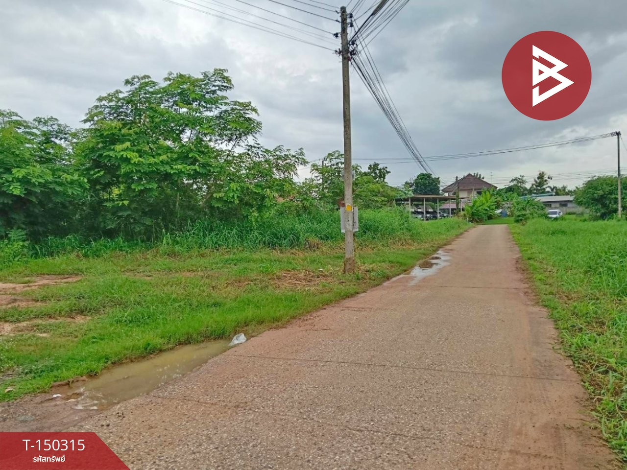 ขายที่ดิน เนื้อที่ 1 งาน 50 ตร.วา สมอแข พิษณุโลก