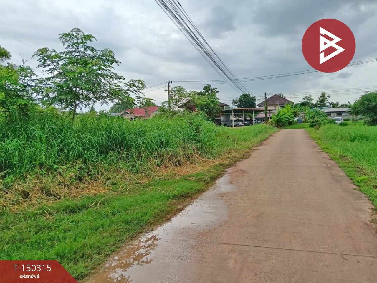 ขายที่ดิน เนื้อที่ 1 งาน 50 ตร.วา สมอแข พิษณุโลก