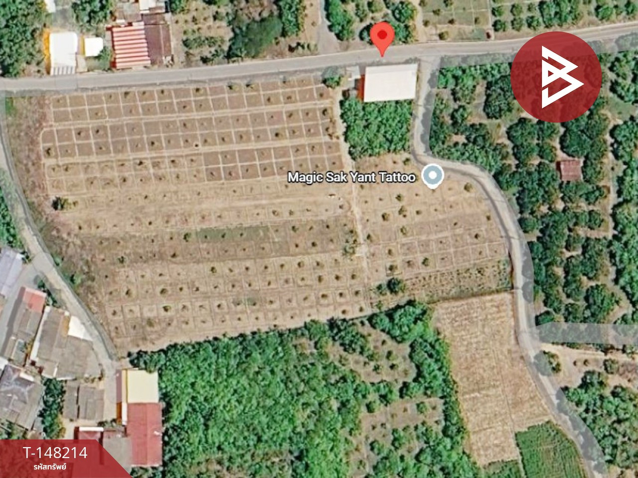 ขายที่ดิน เนื้อที่ 8 ไร่ 3 งาน 47 ตร.วา บ้านโฮ่ง ลำพูน