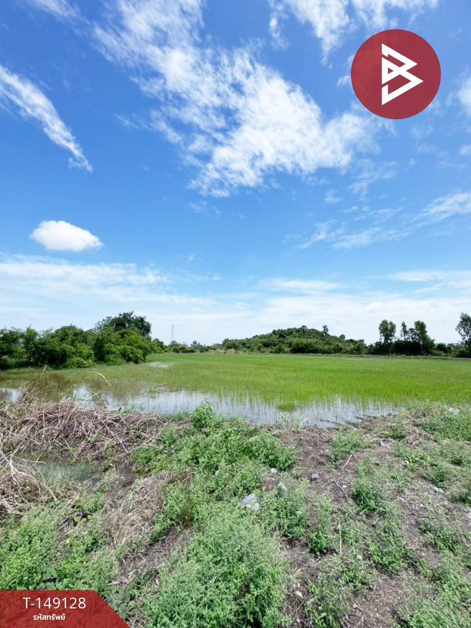 ขายที่ดิน เนื้อที่ 23 ไร่ 1 งาน 92 ตร.วา ต.บางพึ่ง อ.บ้านหมี่ จ.ลพบุรี