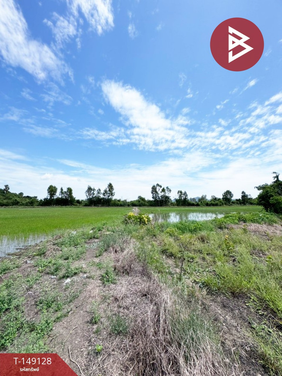 ขายที่ดิน เนื้อที่ 23 ไร่ 1 งาน 92 ตร.วา ต.บางพึ่ง อ.บ้านหมี่ จ.ลพบุรี