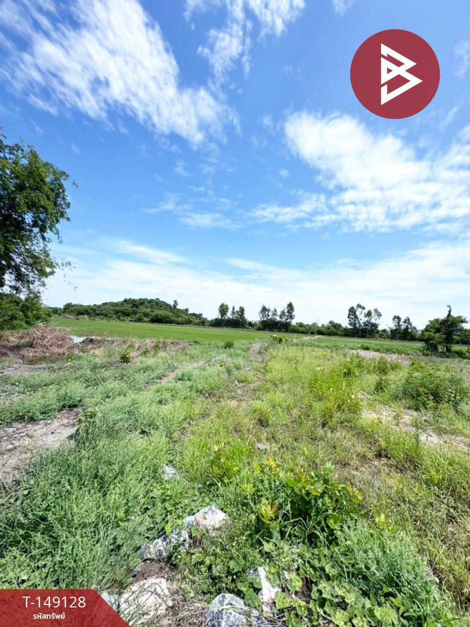 ขายที่ดิน เนื้อที่ 23 ไร่ 1 งาน 92 ตร.วา ต.บางพึ่ง อ.บ้านหมี่ จ.ลพบุรี