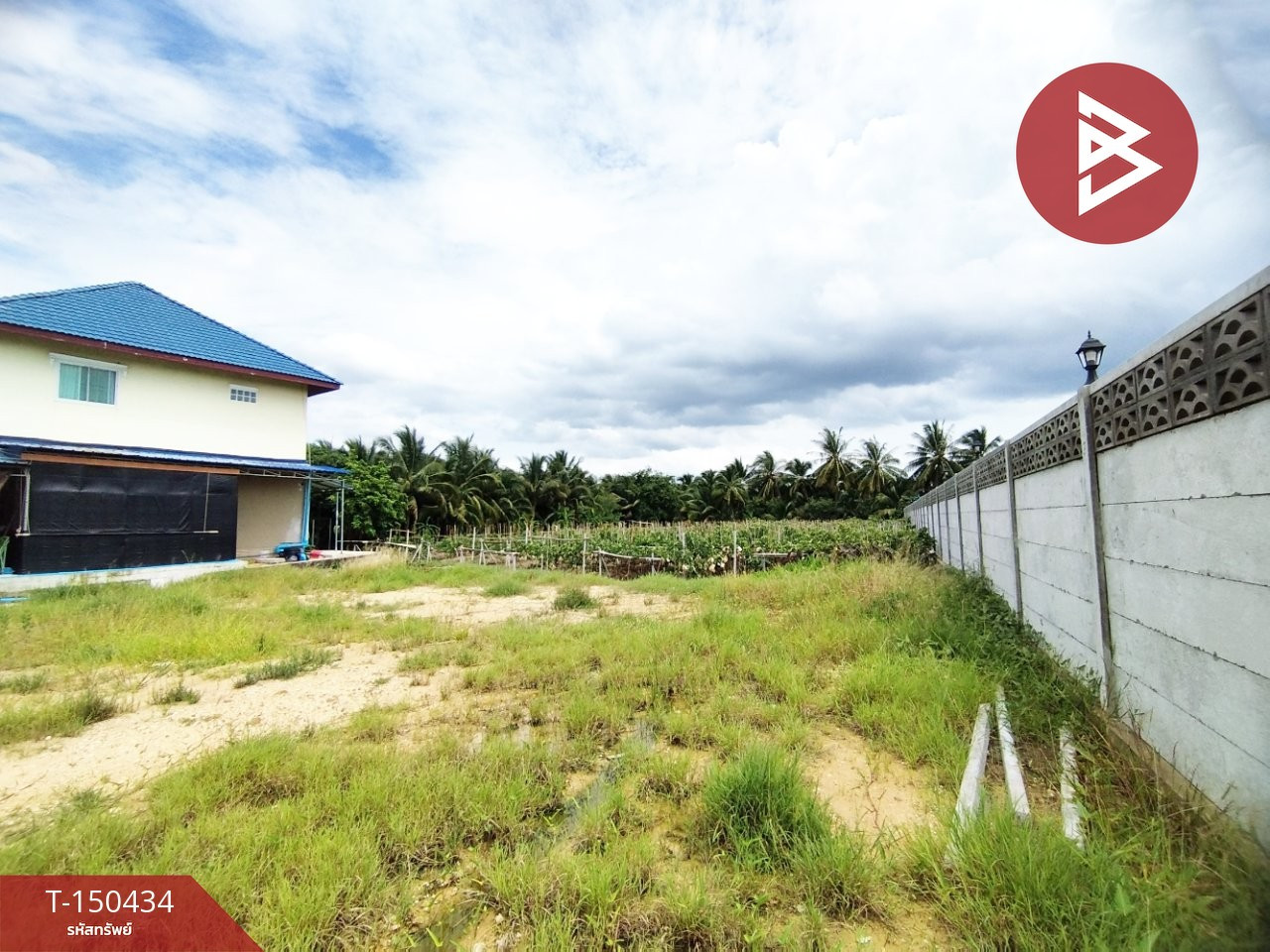 ขายที่ดิน เนื้อที่ 3 งาน 45 ตร.วา บ้านแพ้ว สมุทรสาคร