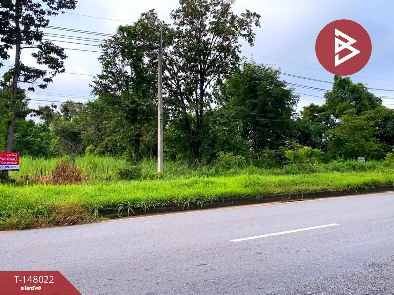 ขายที่ดินติดถนน เนื้อที่ 28 ไร่ 95 ตร.วา นาจารย์ กาฬสินธุ์
