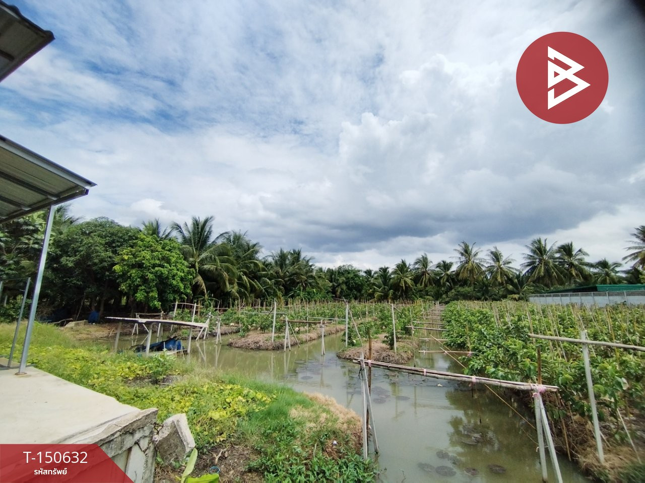 ขายที่ดิน เนื้อที่ 1 ไร่ 55 ตร.วา บ้านแพ้ว สมุทรสาคร