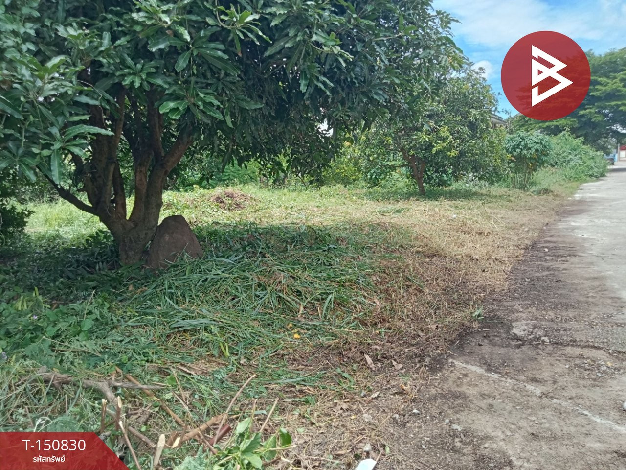 ขายที่ดิน เนื้อที่ 81 ตร.วา พุทธมณฑล นครปฐม ทำเลดี ใกล้เซ็นทรัลศาลายา