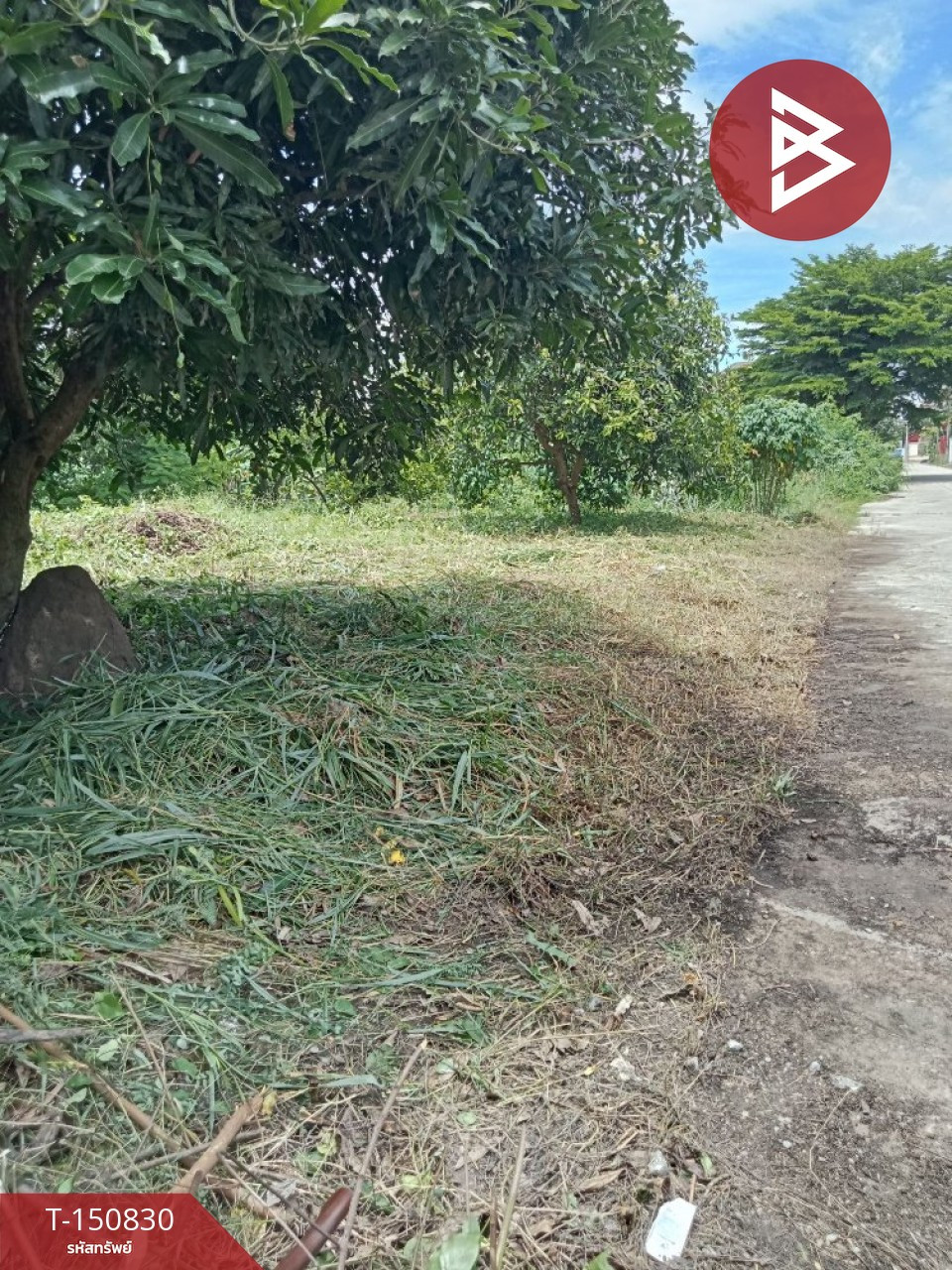 ขายที่ดิน เนื้อที่ 81 ตร.วา พุทธมณฑล นครปฐม ทำเลดี ใกล้เซ็นทรัลศาลายา