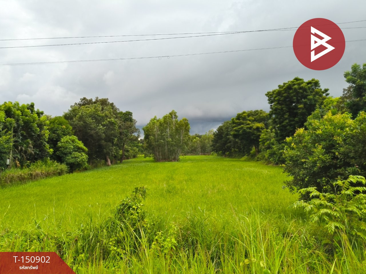 ขายที่ดิน เนื้อที่ 3 ไร่ 2 งาน 80 ตร.วา ธวัชบุรี ร้อยเอ็ด