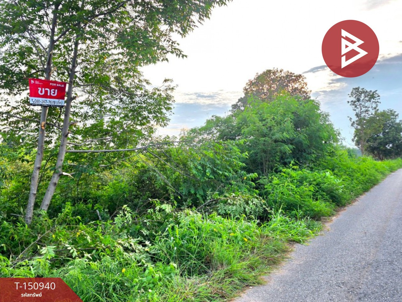 ขายที่ดิน เนื้อที่ 4 ไร่ 62 ตร.วา บรบือ มหาสารคาม