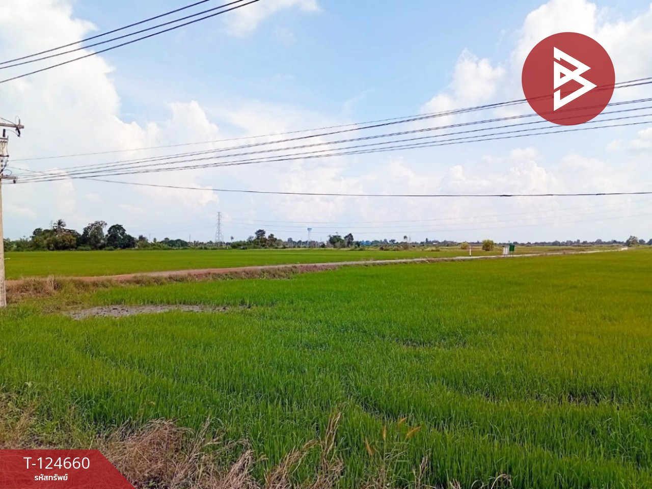 ขายที่ดิน เนื้อที่ 30 ไร่ บางน้ำเปรี้ยว ฉะเชิงเทรา