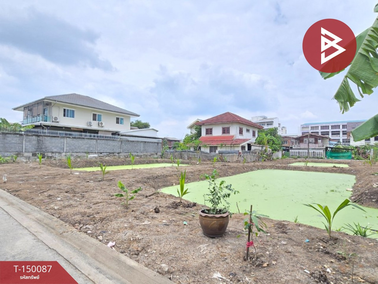 ขายที่ดิน เนื้อที่ 2 งาน 91 ตร.วา พระโขนง กรุงเทพมหานคร