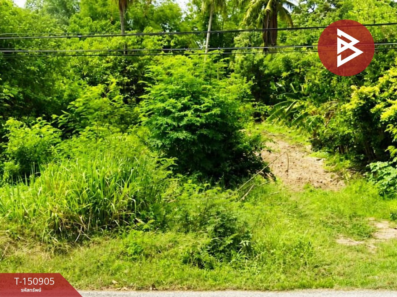ขายที่ดิน 1 ไร่ 28 ตร.วา ติดถนนใหญ่ ต.บ่อทอง อ.ทองแสนขัน จ.อุตรดิตถ์