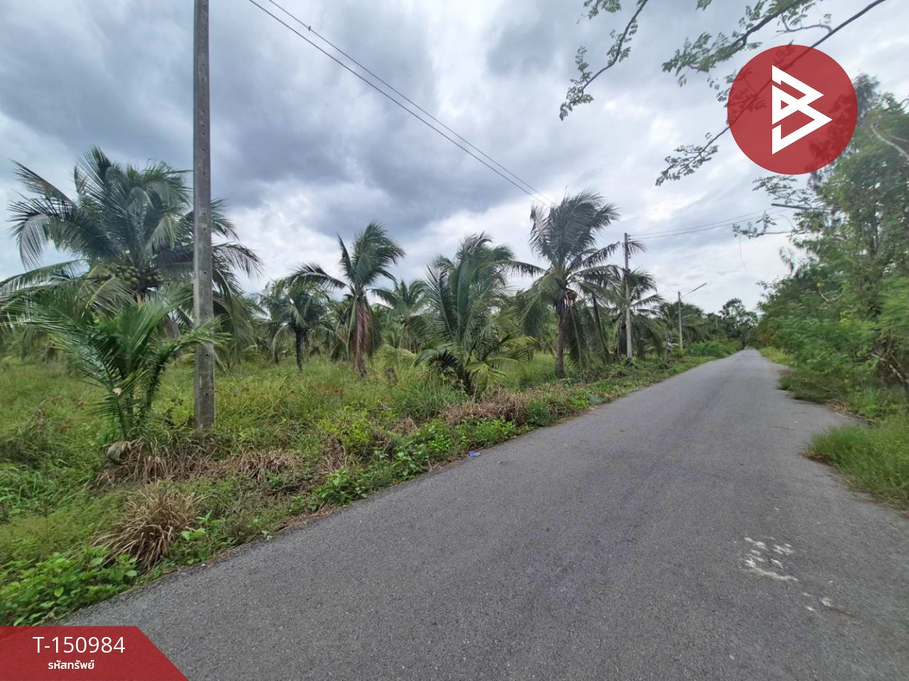 ขายที่ดิน เนื้อที่ 7 ไร่ 1 งาน 49.2 ตร.วา ลาดใหญ่ สมุทรสงคราม