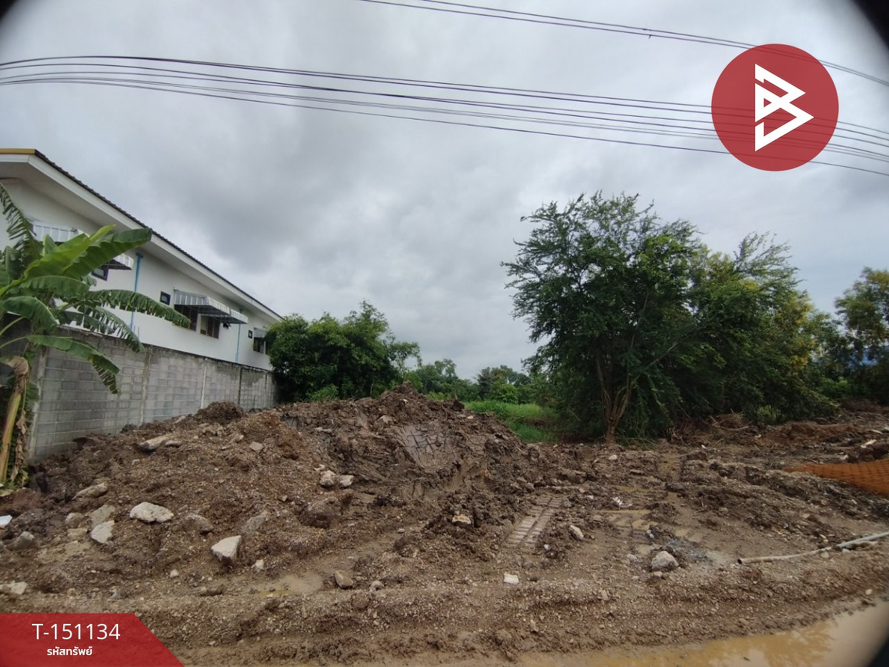 ขายที่ดิน เนื้อที่ 2 ไร่ คลองสิบ ต.บึงบา อ.หนองเสือ จ.ปทุมธานี