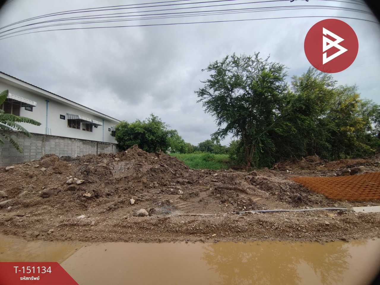 ขายที่ดิน เนื้อที่ 2 ไร่ คลองสิบ ต.บึงบา อ.หนองเสือ จ.ปทุมธานี