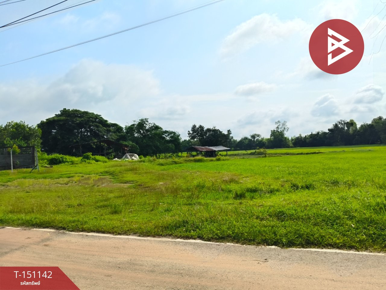 ขายที่ดิน เนื้อที่ 4 ไร่ 3 งาน 60 ตร.วา ธวัชบุรี ร้อยเอ็ด