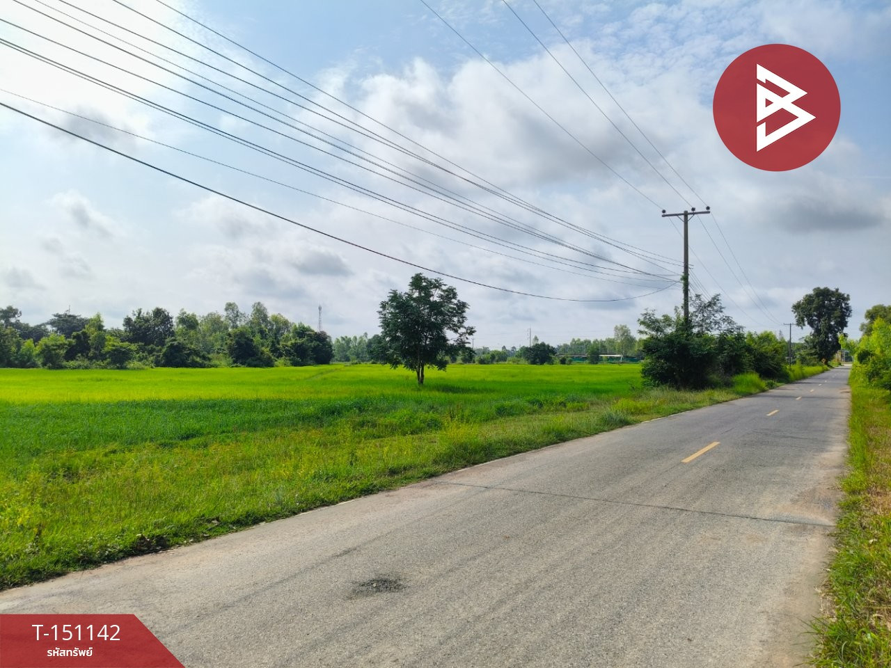 ขายที่ดิน เนื้อที่ 4 ไร่ 3 งาน 60 ตร.วา ธวัชบุรี ร้อยเอ็ด