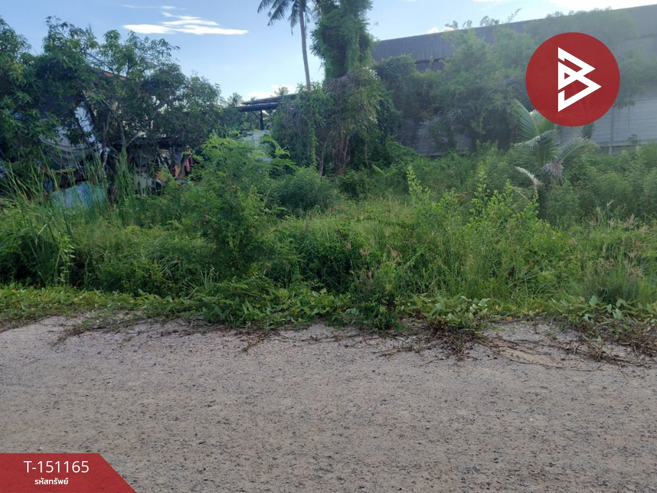 ขายที่ดิน เนื้อที่ 2 งาน ดำเนินสะดวก ราชบุรี
