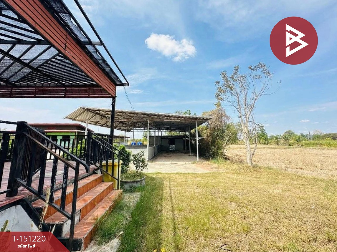 ขายบ้านเดี่ยวพร้อมที่ดิน เนื้อที่ 7 ไร่ 2 งาน บ้านไผ่ ขอนแก่น ทำเลดี