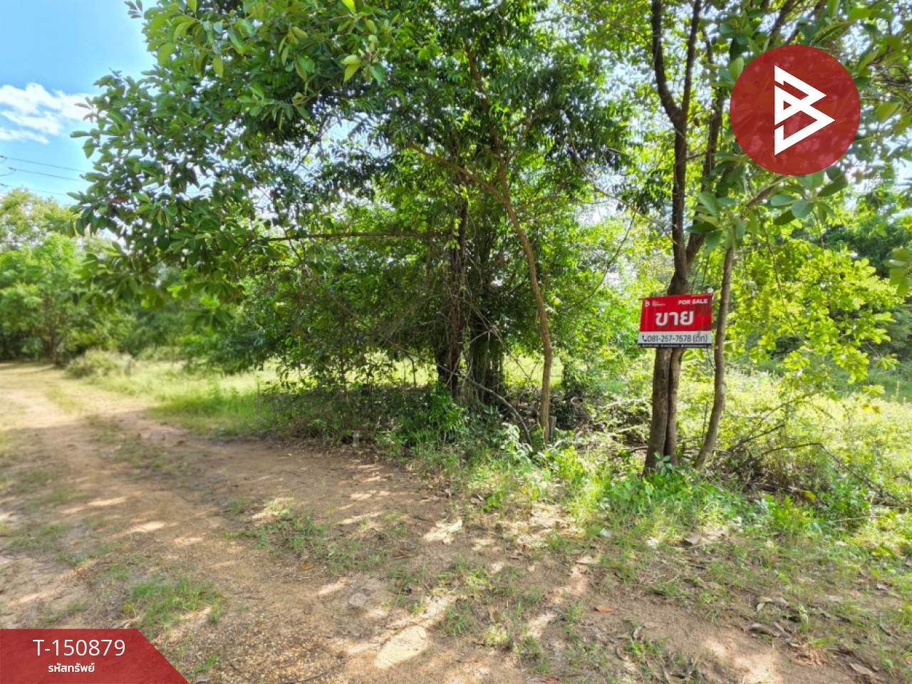 ขายที่ดิน เนื้อที่ 79 ตร.วา สีแก้ว ร้อยเอ็ด