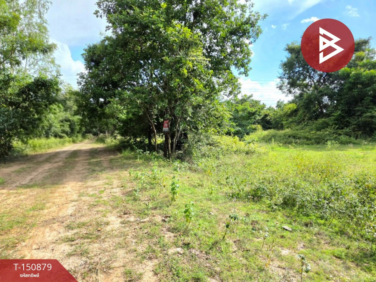 ขายที่ดิน เนื้อที่ 79 ตร.วา สีแก้ว ร้อยเอ็ด