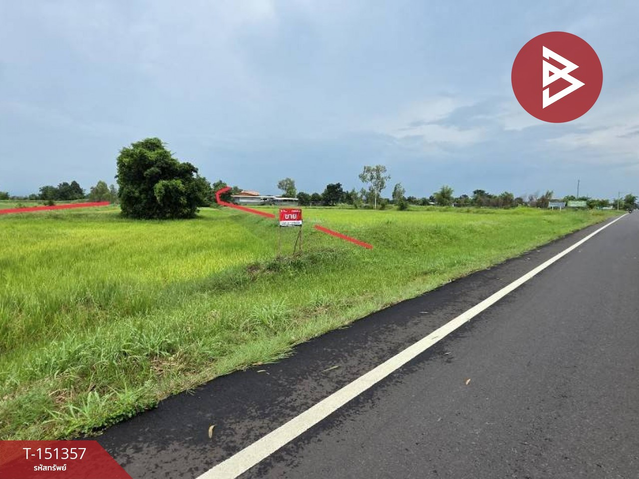 ขายที่ดิน เนื่อที่ 5 ไร่ 93 ตร.วา ศรีสมเด็จ ร้อยเอ็ด