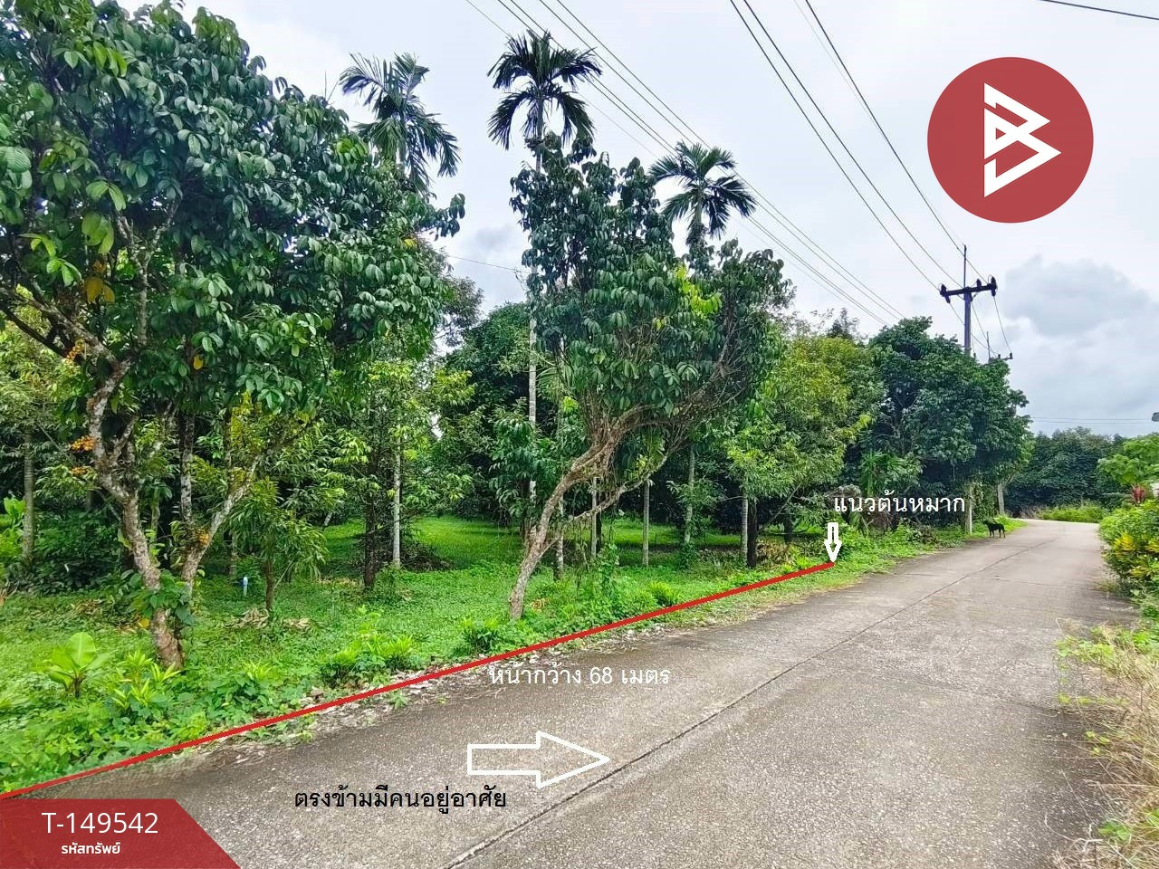 ขายที่ดินพร้อมสวน เนื้อที่ 1 ไร่ 3 งาน 82 ตร.วา มะขาม จันทบุรี